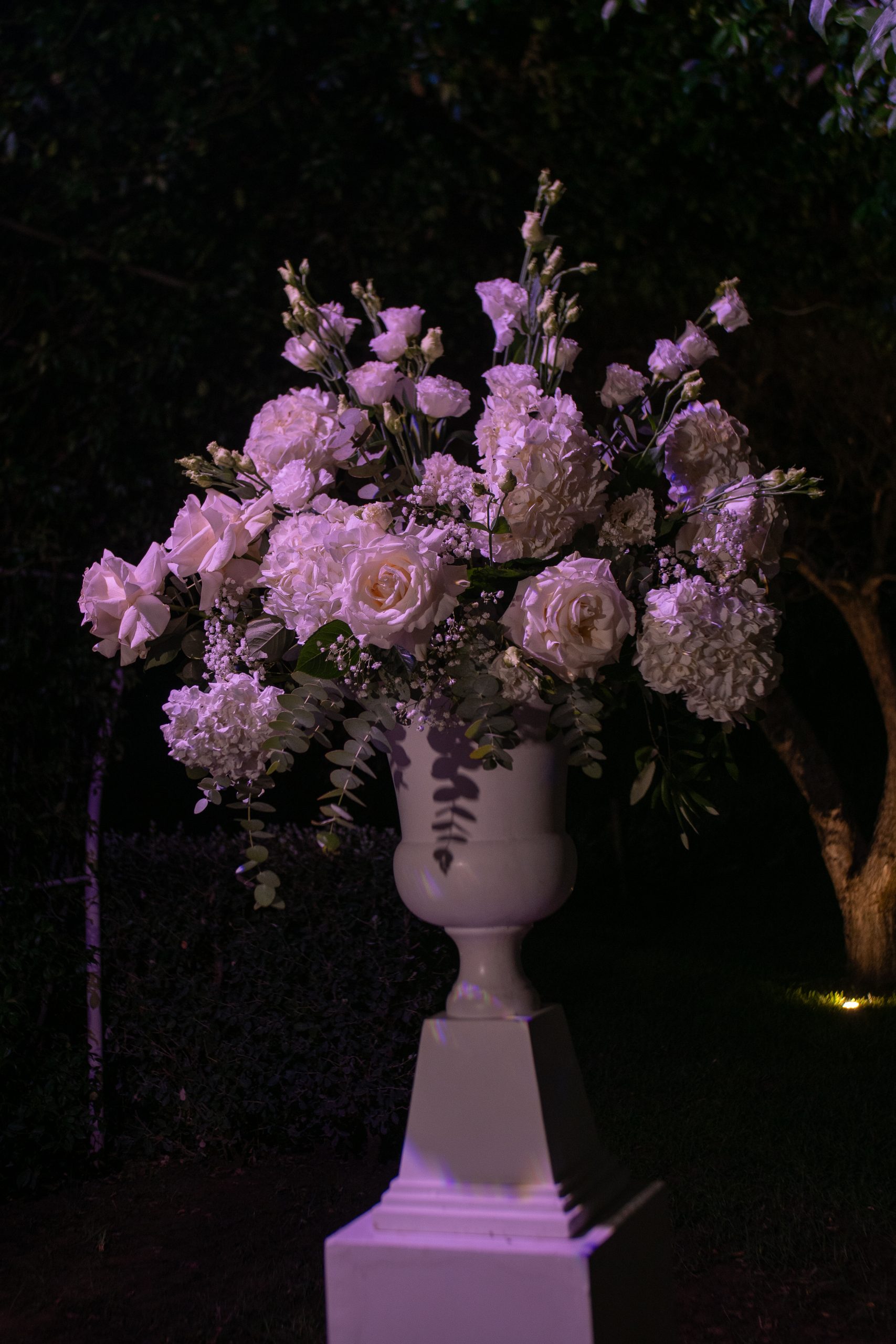 P1561662